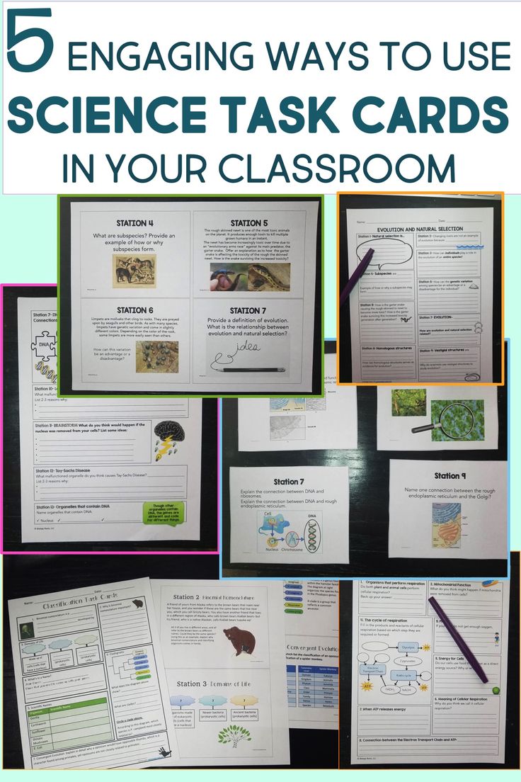 Five Ways to Use Science Task Cards